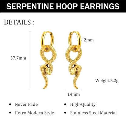 Dark Style Serpentine Hoop Dangle Earrings