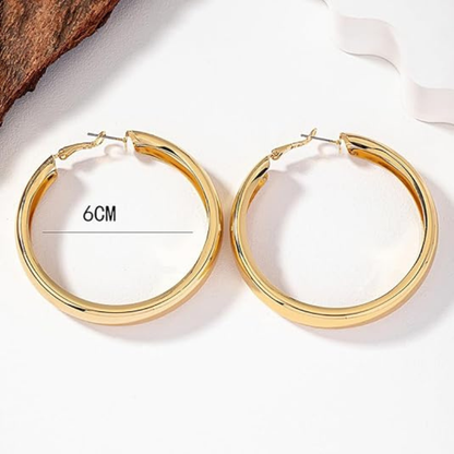 Chunky Gold Silver Hoop Earrings